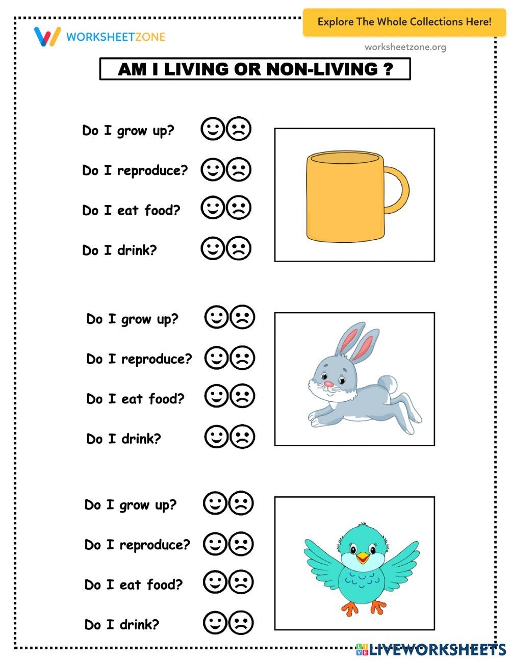 Am I A Living Things Worksheet
