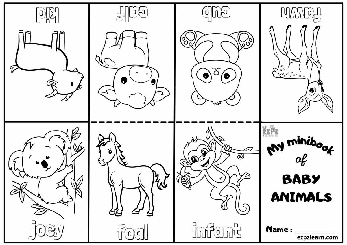 Baby Animals Vocabulary Mini Coloring Book For Kindergarten And English Language Learners Number 2 Ezpzlearn