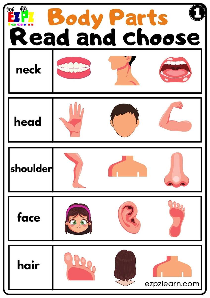 Body Parts Read And Choose Worksheets For Kids And ESL PDF Download Set 1 Ezpzlearn Parts Of The Body Worksheets The Teaching Aunt
