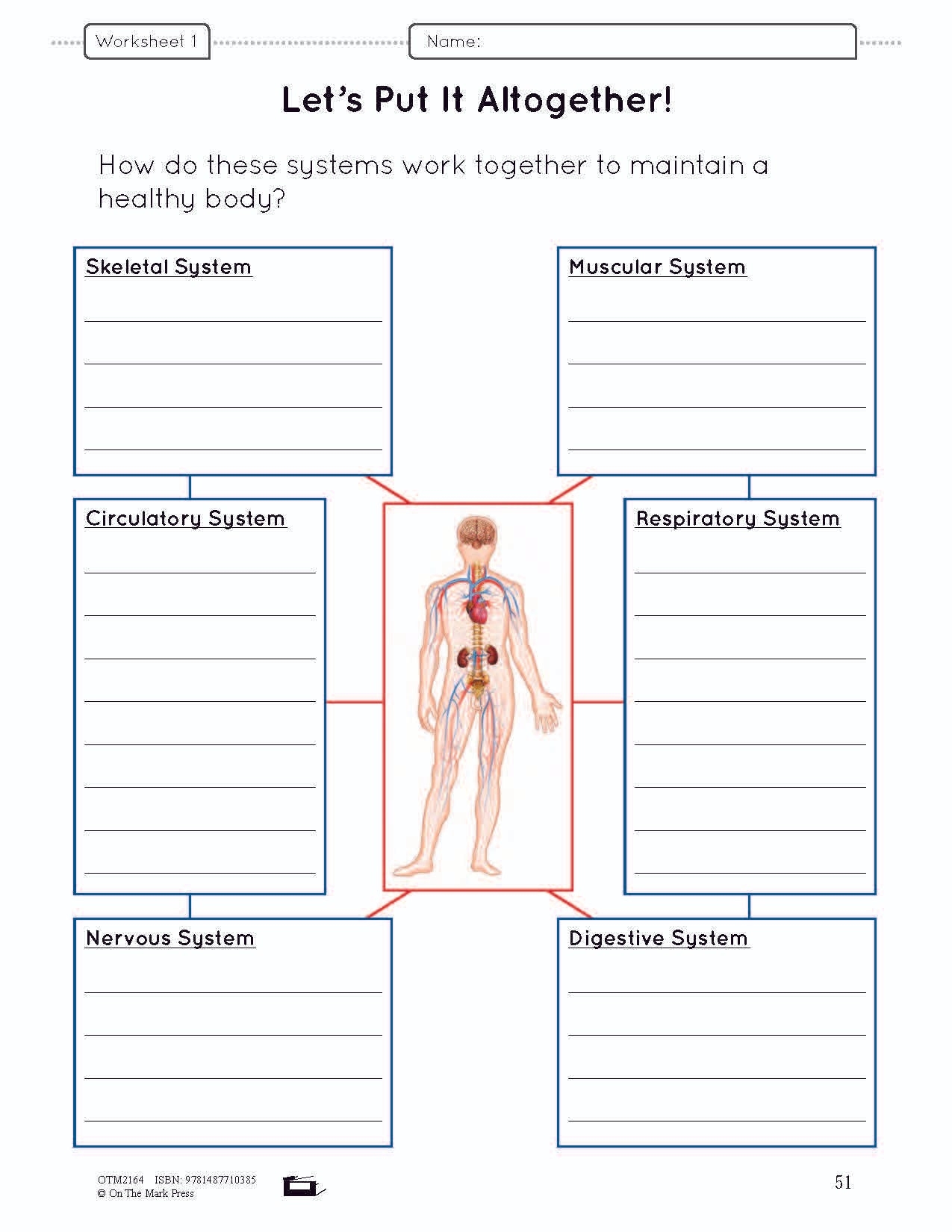Body Systems Lesson Worksheets E Lesson Plan Grade 5 Worksheets Library Human Body Systems Worksheets Labeling Coloring Word Search Fun Facts Teaching Resources