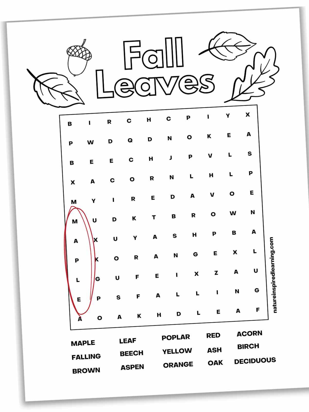 Difficult Fall Word Searches Nature Inspired Learning Difficult Fall Word Searches Nature Inspired Learning