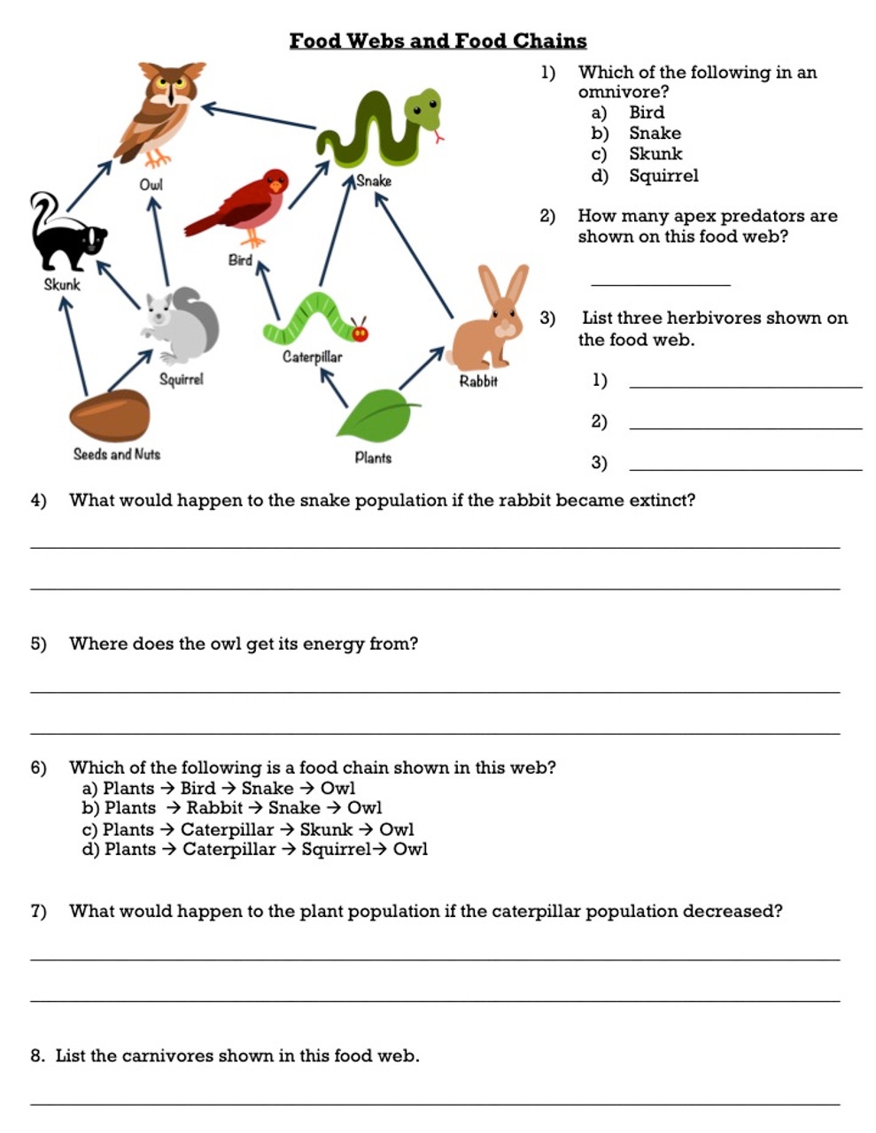 Explore The World Of Food Chains And Food Webs With Engaging Worksheets