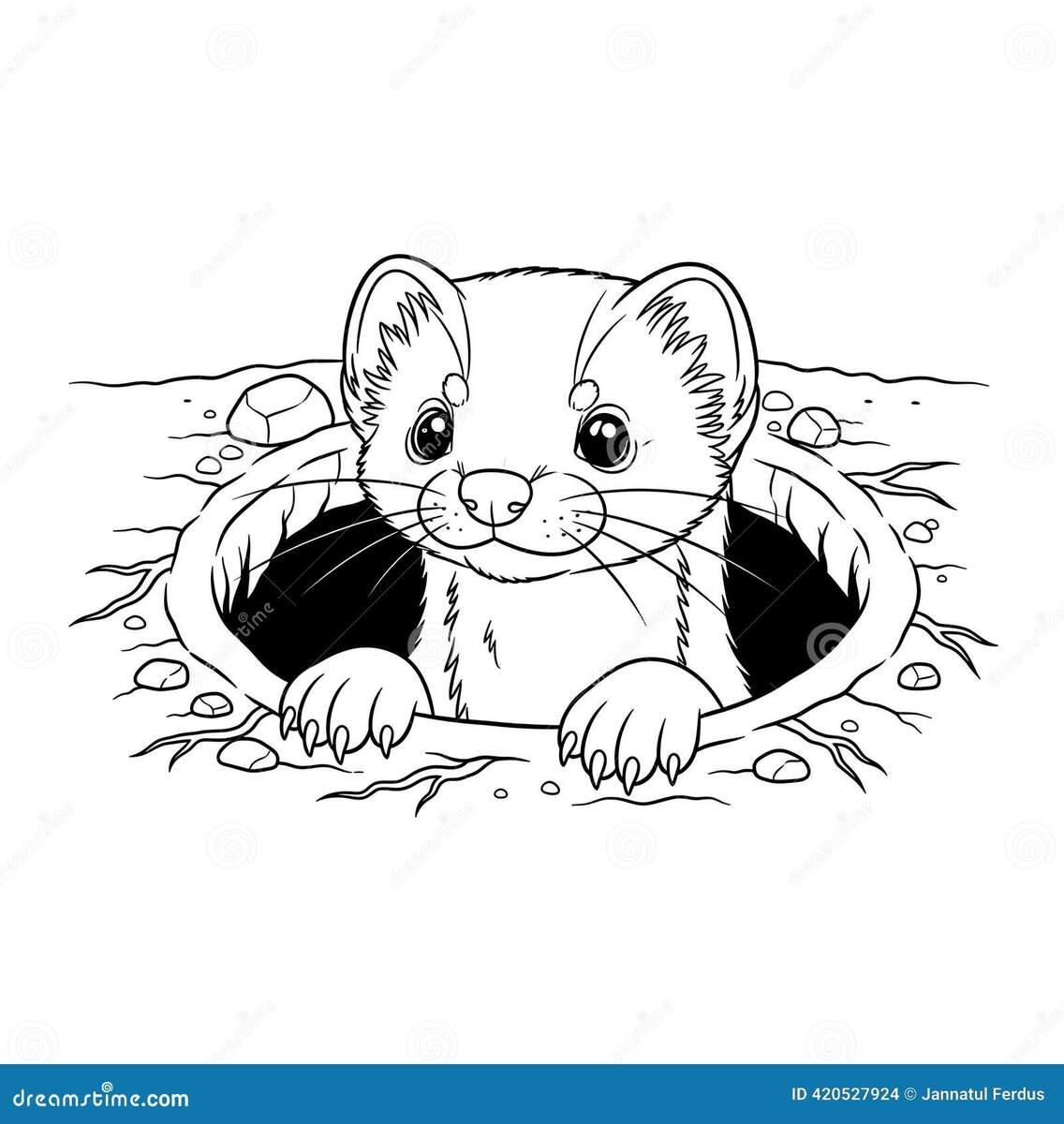 Ferret Coloring Page Stock Illustrations 102 Ferret Coloring Page Stock Illustrations Vectors Clipart Dreamstime