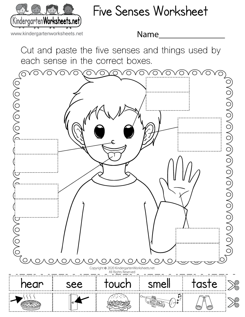 Five Senses Printables Pack For Sorting Fun And More Free Rock Your Homeschool