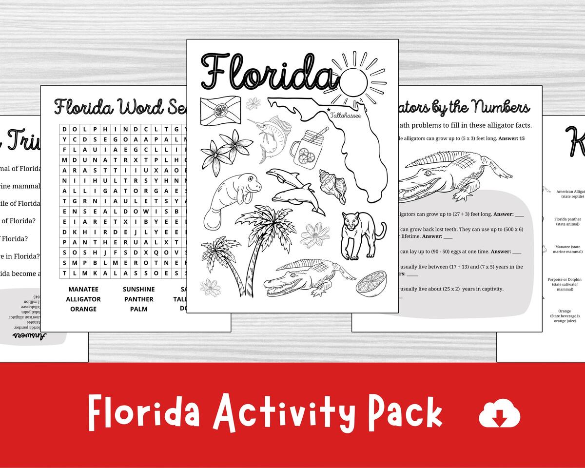 Florida Fast Practice Test Second Grade