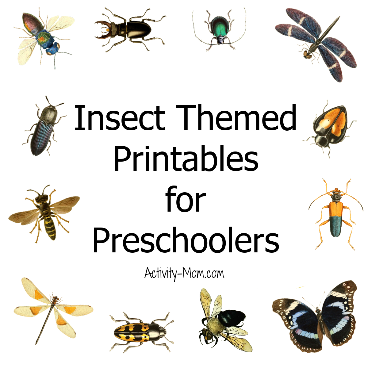 Free Preschool Insect Theme Printables And Activities The Activity Mom