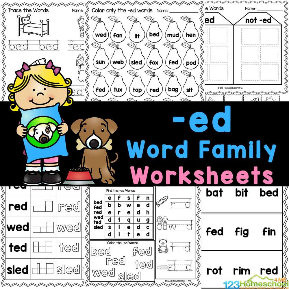 ED Word Family Interactive Notebook Big Ideas For Little Hands