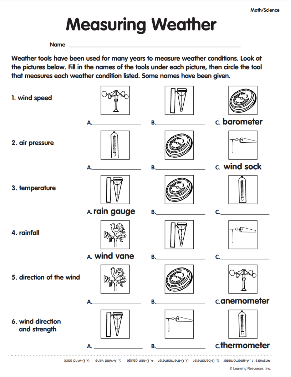 Free Science Activities For Kids Free Activity Sheets