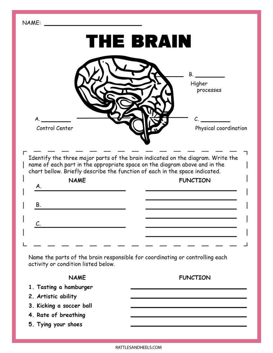 3rd Grade Solar System Worksheets