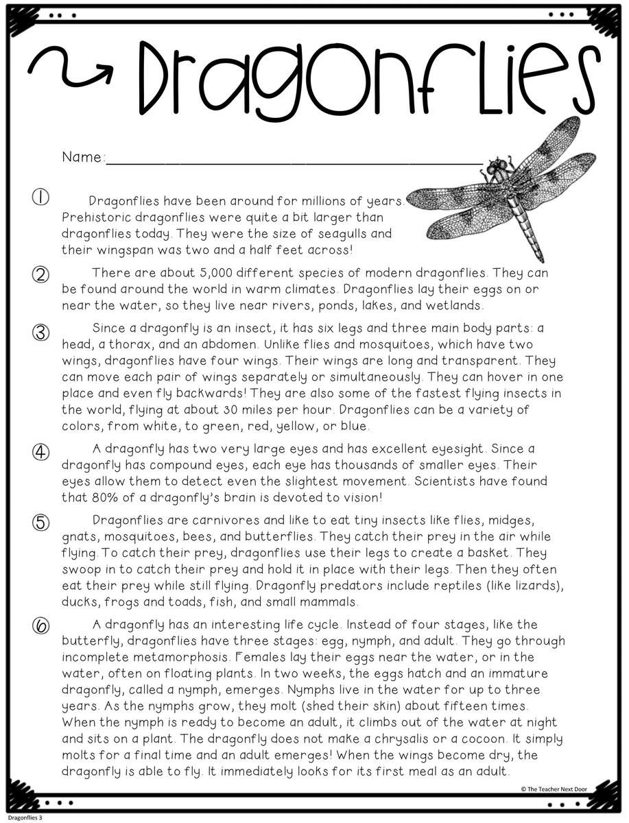 FREE Text Evidence Color Coding Passage Print And Digital The Teacher Next Door Find The Evidence Answers Practice Marcys Mayhem