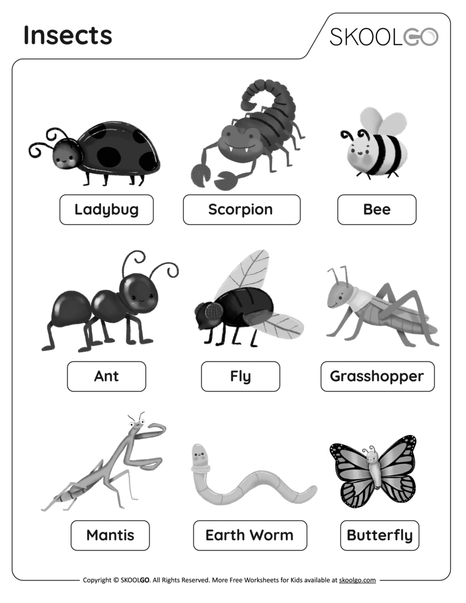 Bugs Theme And Insects Free Printables For Pre K And Kindergarten BuyLapbook