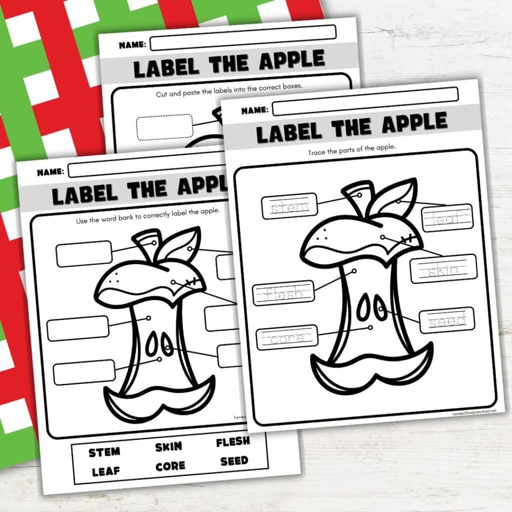 Labeling Parts Of An Apple Fun Apple Preschool Activity Labeling Parts Of An Apple Fun Apple Preschool Activity