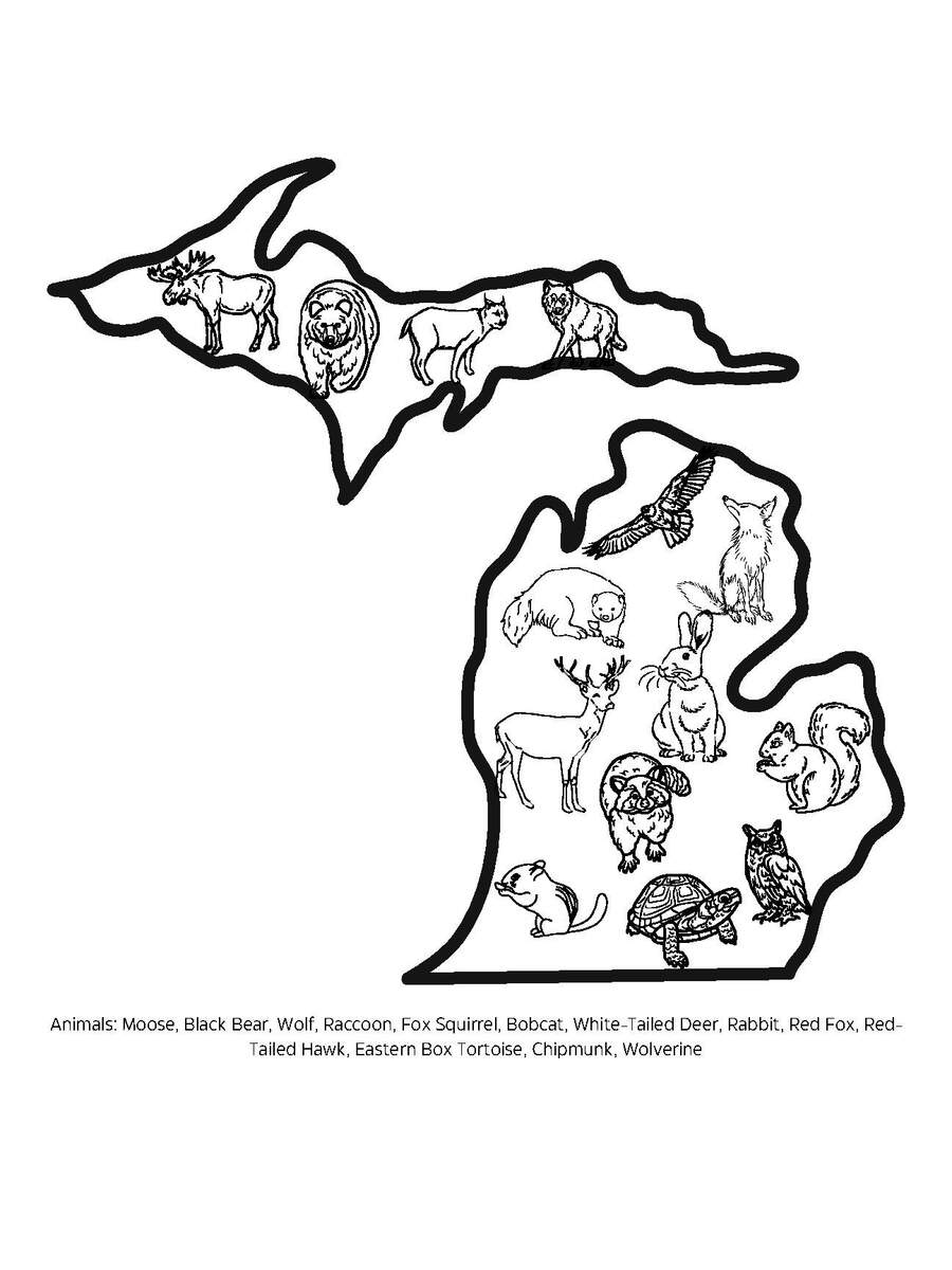 Michigan Map Coloring Page With Animals Explore Wildlife TPT Michigan Map Coloring Page With Animals Explore Wildlife TPT