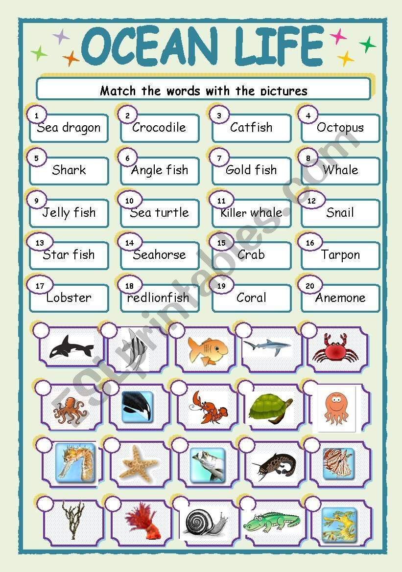 OCEAN LIFE ESL Worksheet By Jhansi Ocean Animal Printable Preschool Worksheets