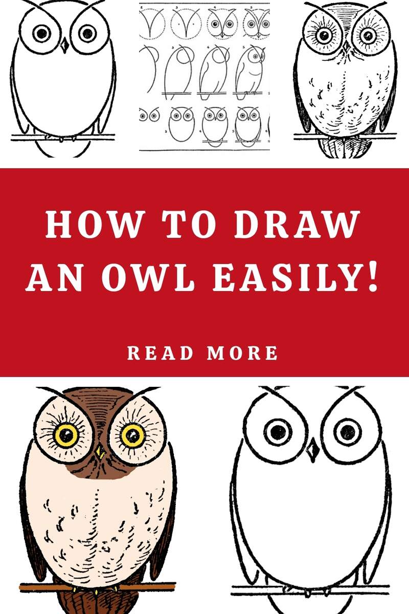 Owl Drawing Step By Step 3 Ways The Graphics Fairy Owl Drawing Step By Step 3 Ways The Graphics Fairy