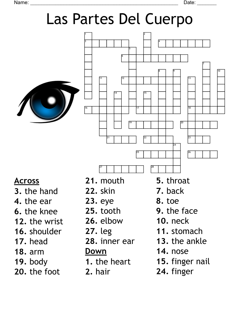 Partes Del Cuerpo Body Parts Word Search WordMint Partes Del Cuerpo Body Parts Word Search WordMint