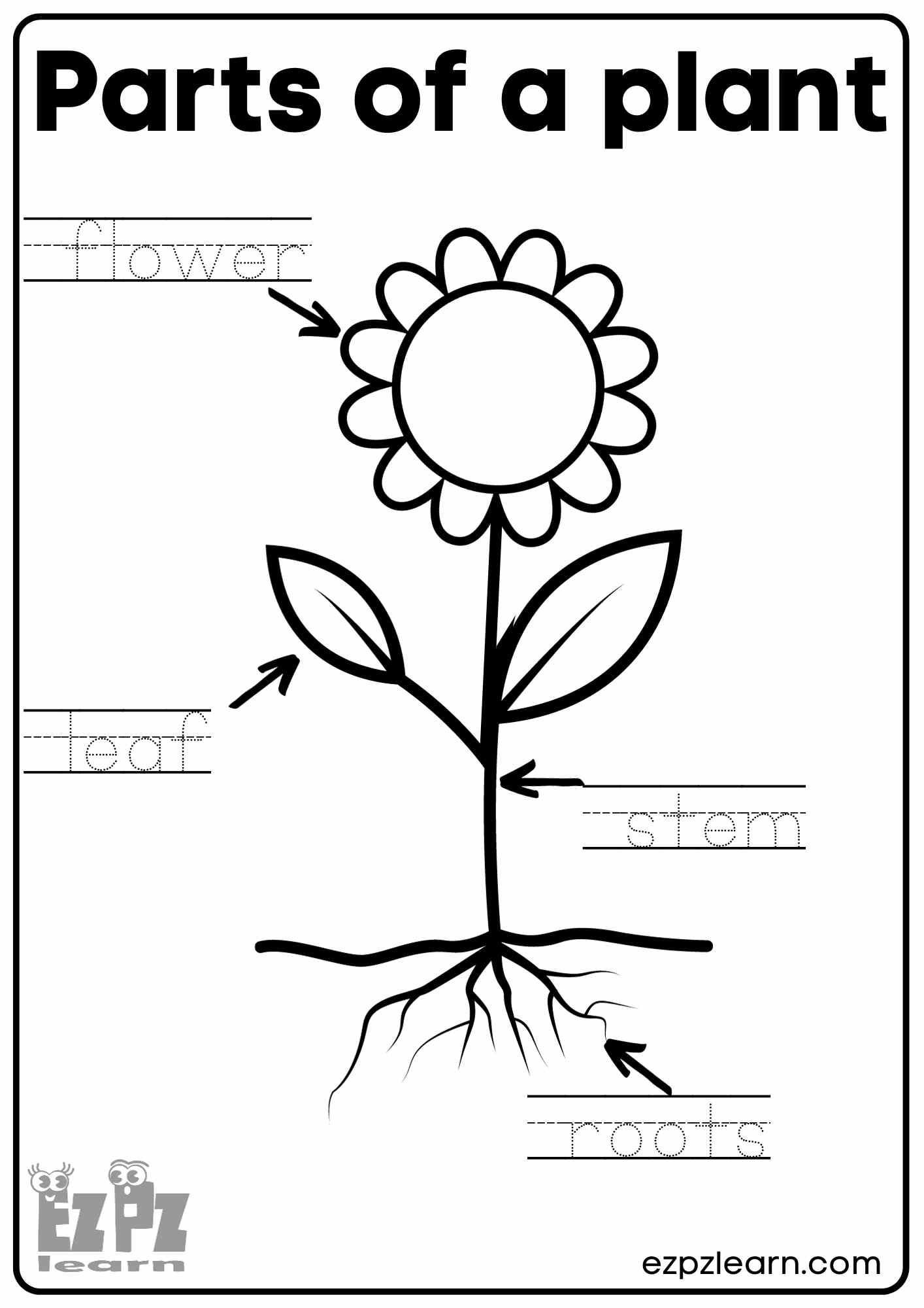 Free Printable Parts Of A Flower Worksheet