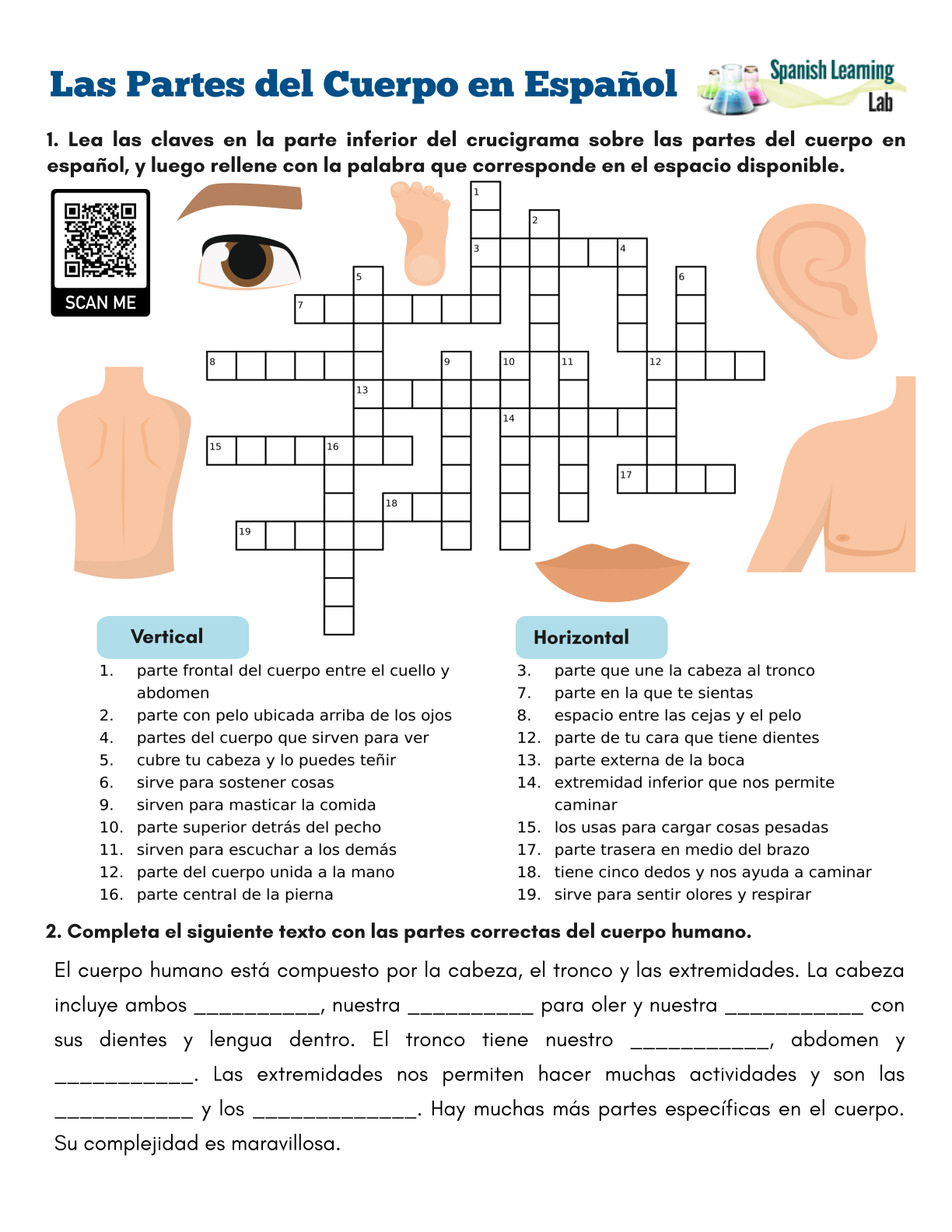Parts Of The Body In Spanish PDF Crossword Puzzle Spanish Learning Lab Body Parts English To Spanish Crossword WordMint