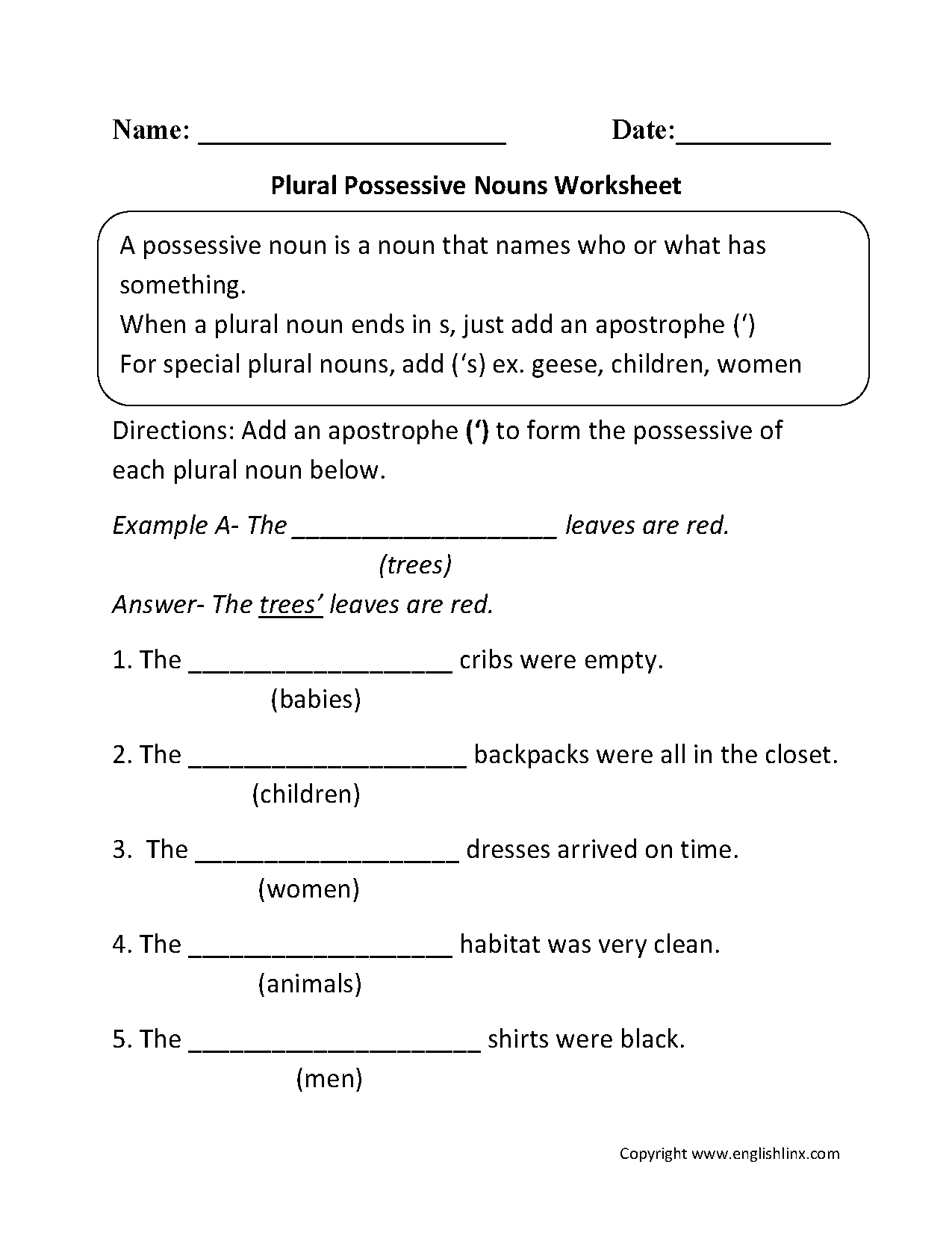 Plural Or Possessive Noun Worksheet Parts Of Speech Activity