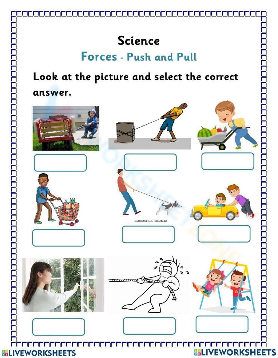 Printable 7th Grade Science Worksheets Download
