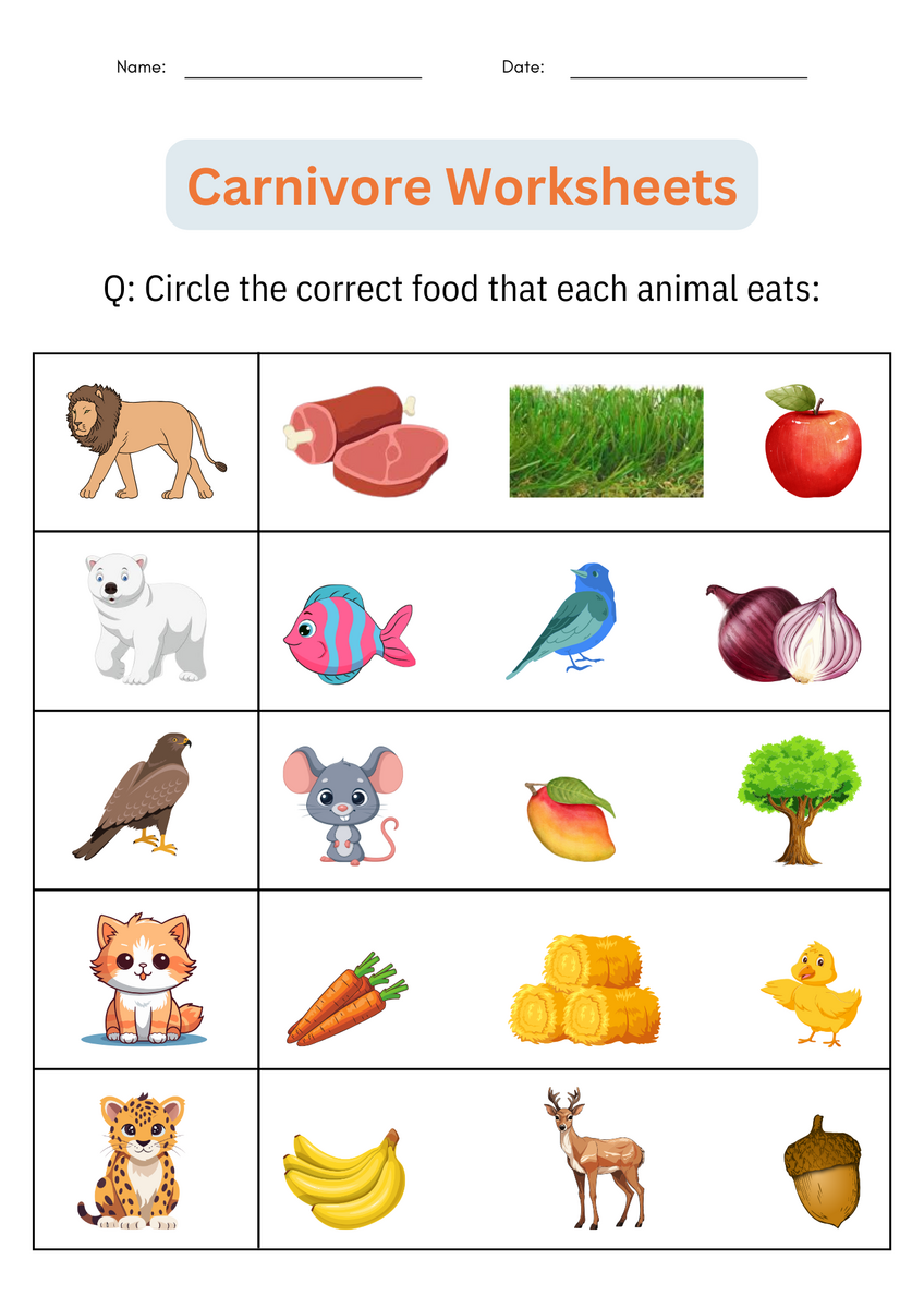 Printable Animal Classification Carnivore Worksheets Activities For Grade 1 2 Made By Teachers