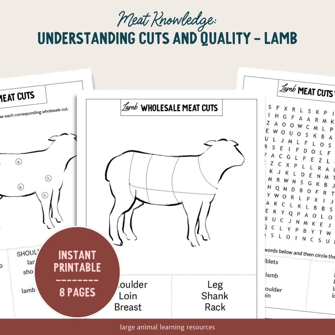 10 Lamb Coloring Pages Printable PDF A4 Farm Animal Coloring Sheets For Kids Adults Stress Relief And Relaxation Etsy