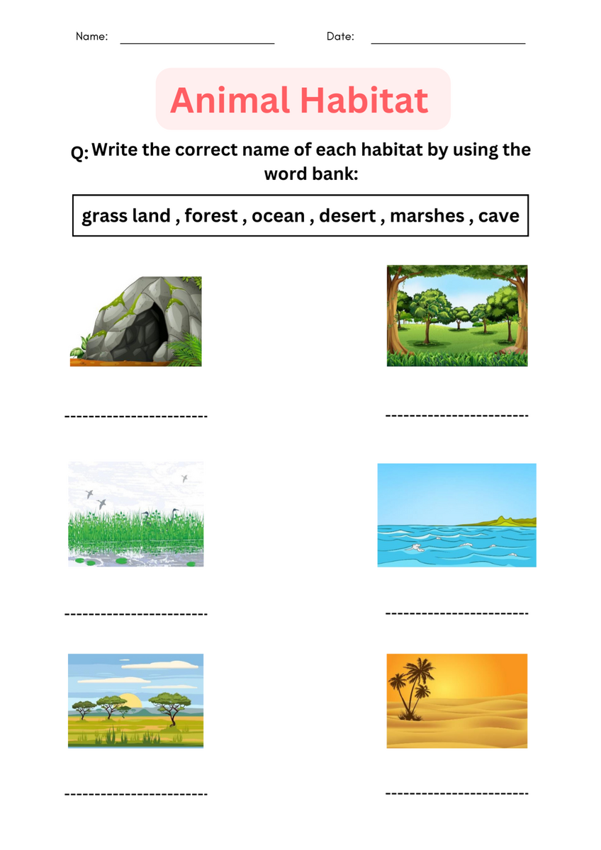 Printable Matching Activity Animal Habitats Worksheets For Grade 1 2 3 Made By Teachers Printable Matching Activity Animal Habitats Worksheets For Grade 1 2 3 Made By Teachers