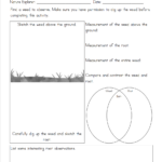 Printable Nature Study Easy Outdoor Science Labs