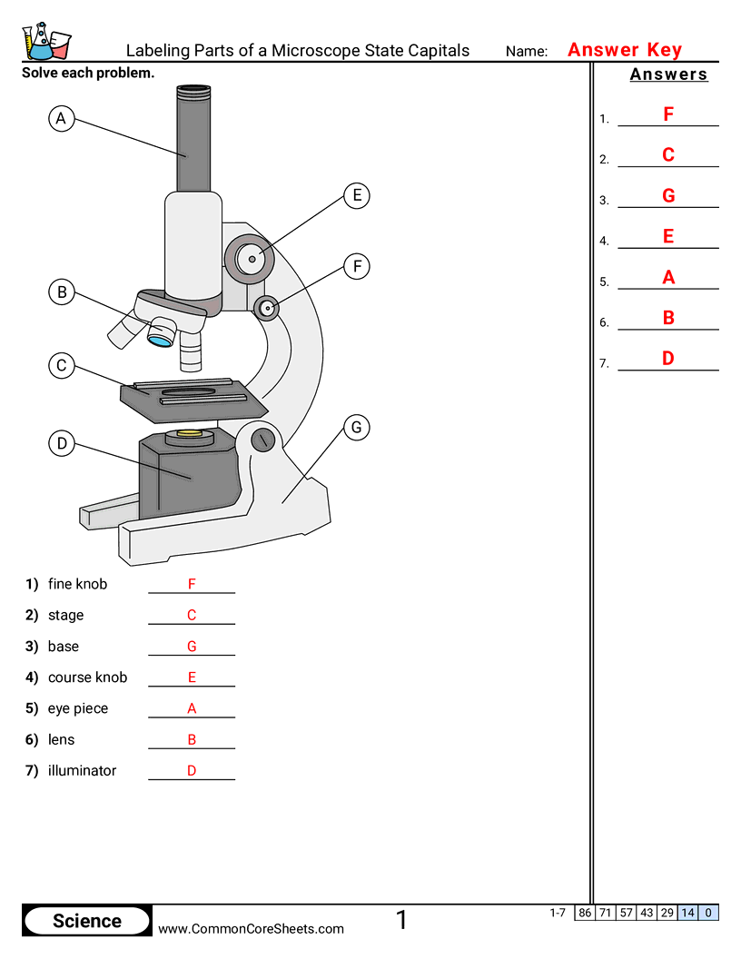 Free Science Activities For Kids Free Activity Sheets