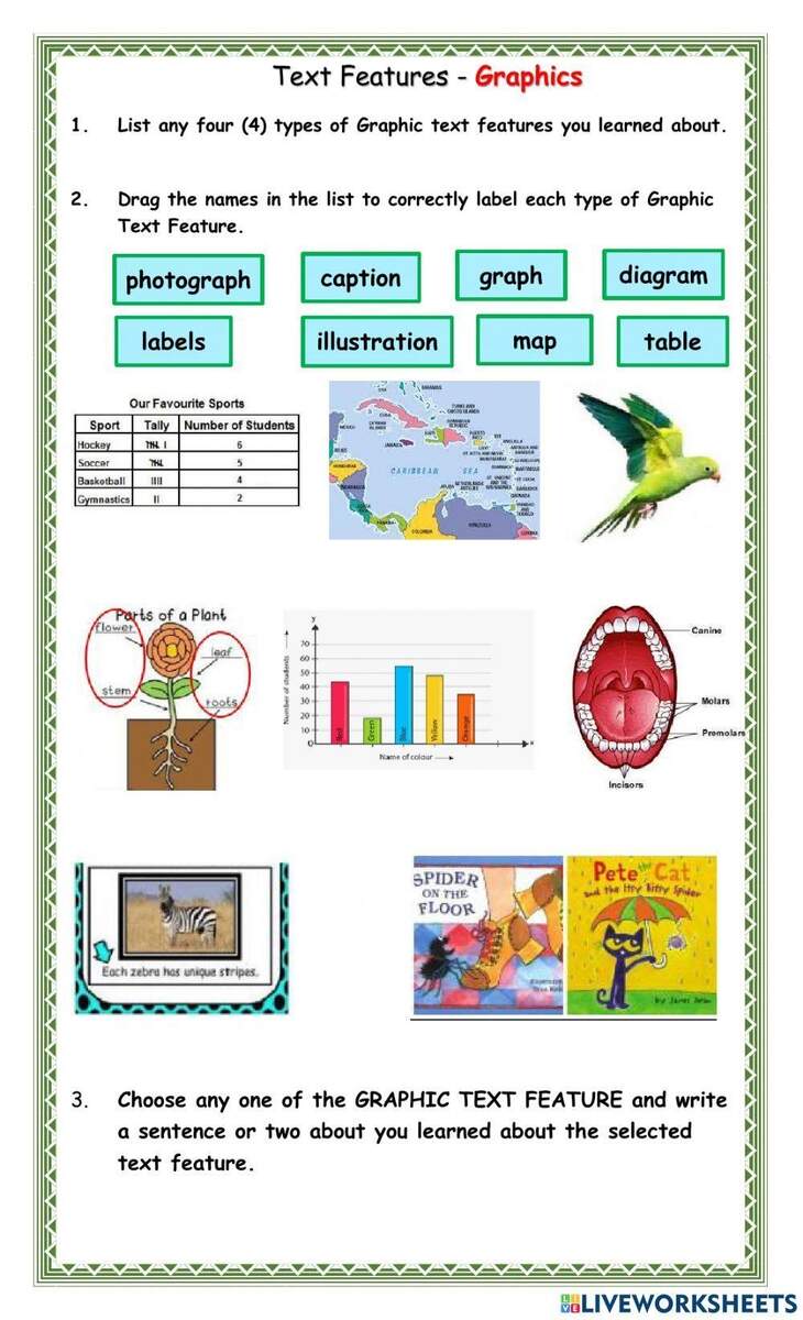 Storyboard That Text Features Worksheets For Reading