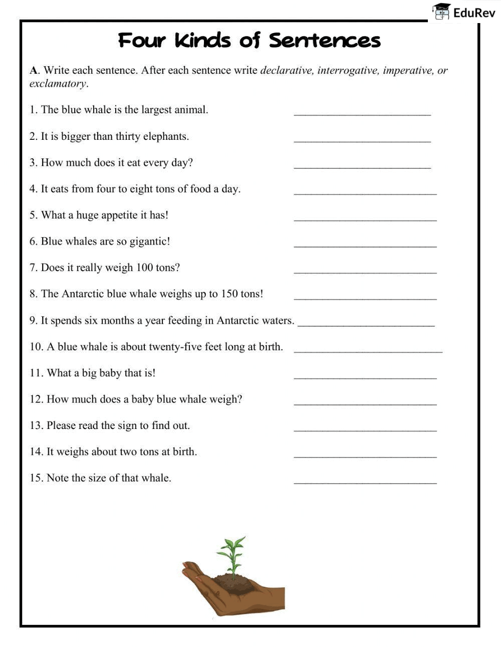 The Sentence Important Questions Class 4 English Grammar PDF Download The Sentence Important Questions Class 4 English Grammar PDF Download