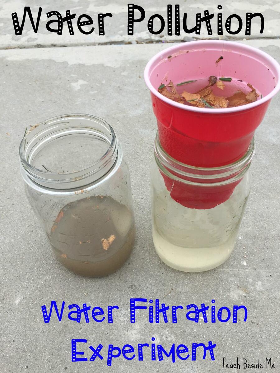 Water Filtration Experiment Teach Beside Me