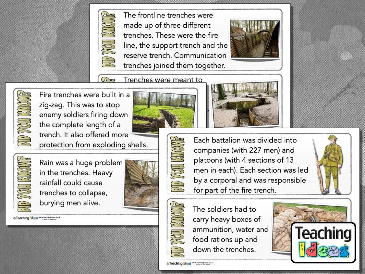 World War I Fact Cards Teaching Ideas